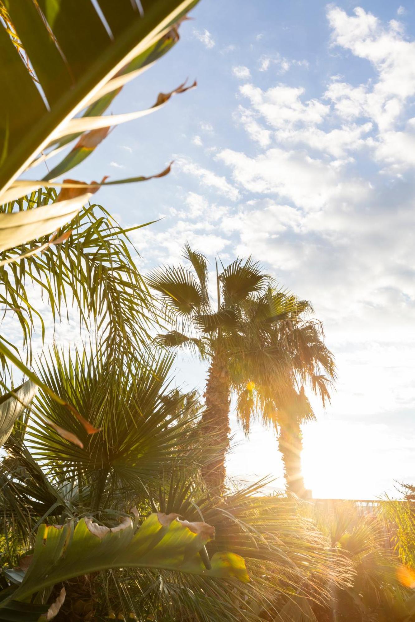 Albades Hotel & Spa (Adults Only) Benicàssim Eksteriør bilde