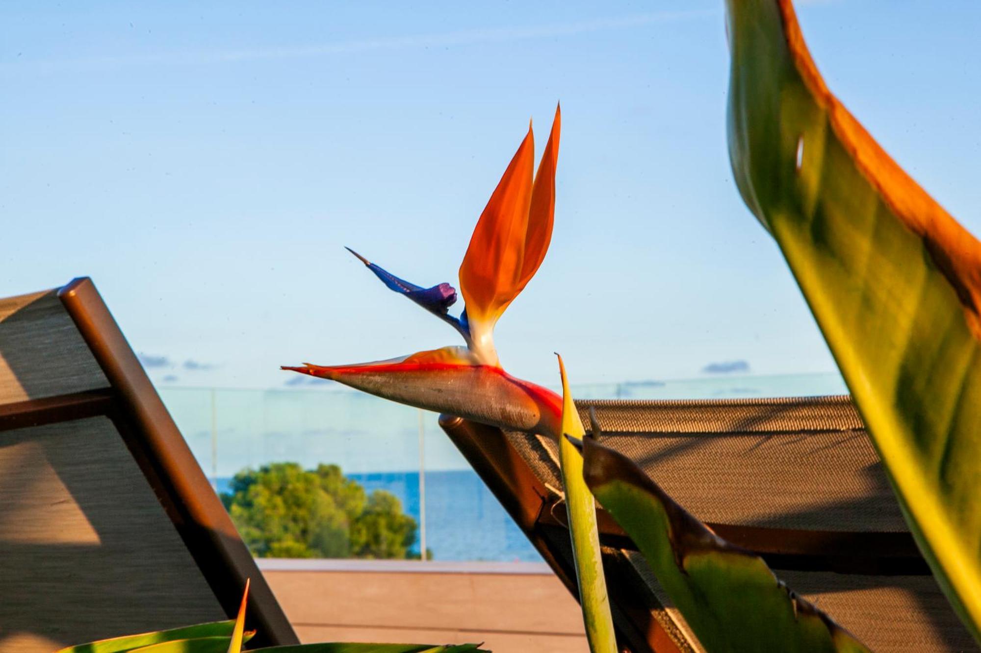 Albades Hotel & Spa (Adults Only) Benicàssim Eksteriør bilde